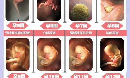 水疱型手足癣初期照片-水疱型手足癣能否自愈专区_水疱型手足癣专区_水疱型手足癣用药网